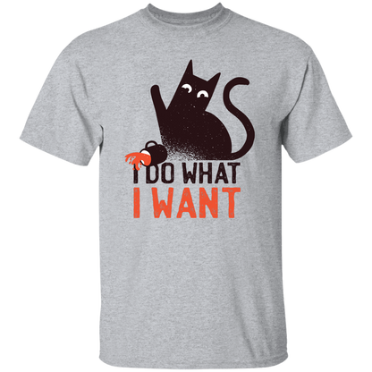 I Do What I Want T-Shirt